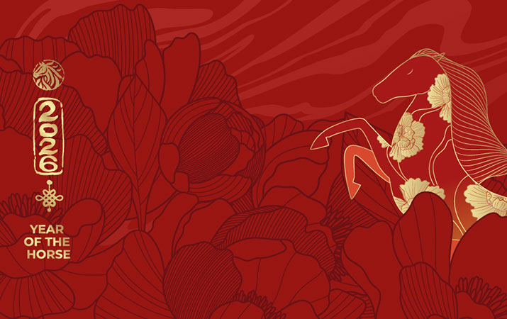 A graphic of a horse to celebrate Chinese New Year