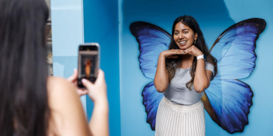 Visitors taking photos at an event held at Parramatta Square